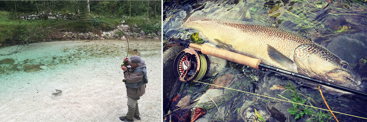 Fly fishing for marble trout in Slovenia