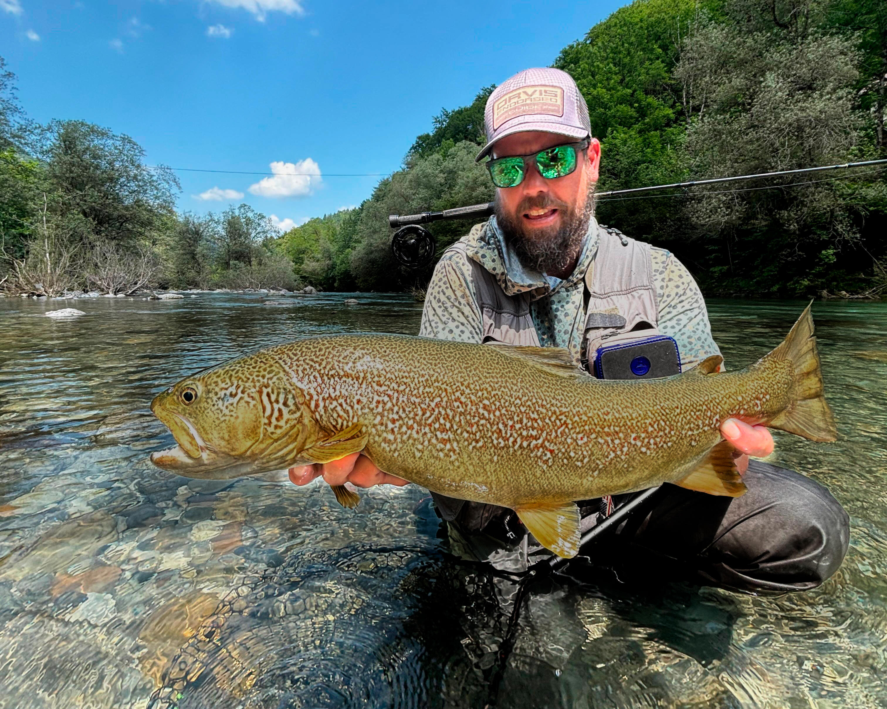 Fly fishing for marble trout in Slovenia
